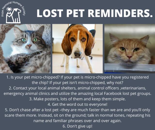 Lost Pet Reminders | Pope Memorial Humane Society